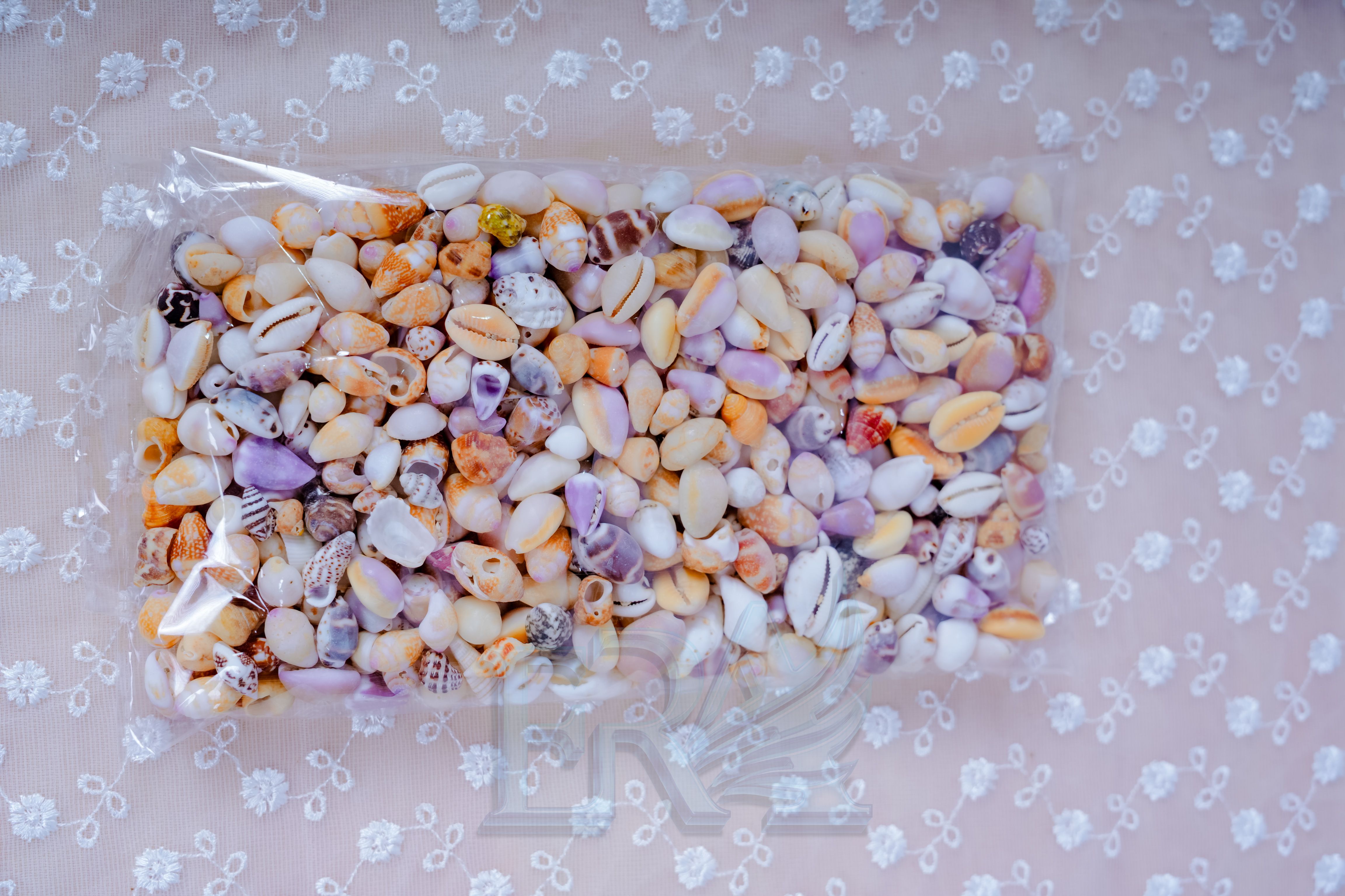 Vỏ Ốc Lộn Xộn Siêu Mini 100g